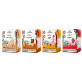 Box-Mini-Sabores-24-unds